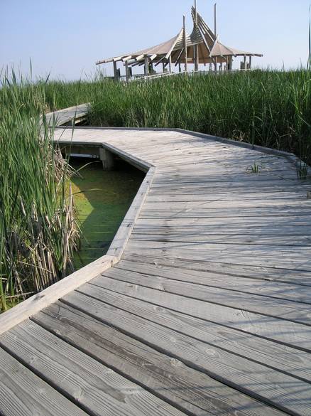 Bird Refuge - TWII Walkway